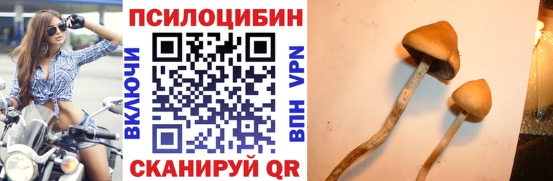 где найти наркотики  Яранск  Галлюциногенные грибы GOLDEN TEACHER 